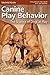 Canine Play Behavior: The S...