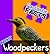 Fantastic Facts About Woodpeckers: Illustrated Fun Learning For Kids