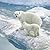 Polar Bear by John Strong