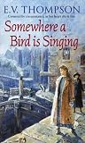 Somewhere A Bird ...