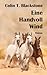 Eine Handvoll Wind (German Edition)