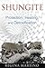 Shungite: Protection, Healing, and Detoxification