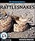 My Favorite Animal: Rattlesnakes