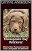 Chesapeake Bay Retriever: H...