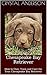 Chesapeake Bay Retriever: How to Own, Train and Care for Your Chesapeake Bay Retriever