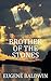 Brother of the Stones by Eugene Baldwin