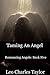 Taming An Angel (Romancing ...