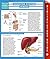 Digestive System (Humans) by Speedy Publishing