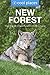 The New Forest: The best pu...