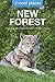 The New Forest: The best pubs, restaurants, sights and places to stay (Cool Places UK Travel Guides Book 14)