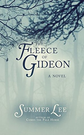 The Fleece of Gideon (A Biblical Adventure #3)