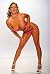 Experienced Milf ladies-Adu...