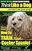 Cocker Spaniel, Cocker Spaniel Training AAA AKC | Think Like a Dog, But Don’t Eat Your Poop! | Cocker Spaniel Breed Expert Training: Here's EXACTLY How To TRAIN Your Cocker Spaniel