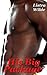 His Big Package (An Erotic Urban BWBM Romance)