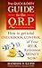 The Quick and Dirty Guide to the QRP: How to get total Checkbook Control of your 401k Retirement Money NOW!