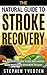 The Natural Guide to Stroke...