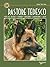 Pastore tedesco (Cani di razza) (Italian Edition)