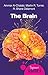 The Brain: A Beginner's Guide (Beginner's Guides)