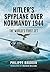 Hitler's Spyplane Over Normandy, 1944 by Philippe Bauduin
