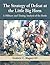 The Strategy of Defeat at the Little Big Horn: A Military and Timing Analysis of the Battle