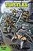 Teenage Mutant Ninja Turtles: New Animated Adventures Vol. 3