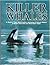 Killer whales by Michael A. Bigg