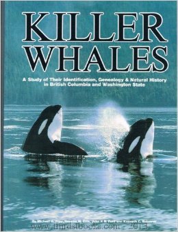 Killer whales: A study of their identification, genealogy, and natural history in British Columbia and Washington State (Paperback)