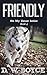 Friendly (On My Honor Series Book 4)