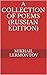A Collection of Poems by Mikhail Lermontov