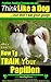 Papillon, Papillon Training...