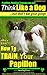 Papillon, Papillon Training AAA AKC: Think Like a Dog, but Don’t Eat Your Poop! | Papillon Breed Expert Training |: Here's EXACTLY How To Train Your Papillon