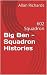 Big Ben - Squadron Historie...