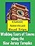 Classic American Road Trips: Walking Tours of Towns along the New Jersey Turnpike (Look Up, America! Series)