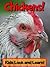 Chickens! Learn About Chickens and Enjoy Colorful Pictures - Look and Learn! (50+ Photos of Chickens)