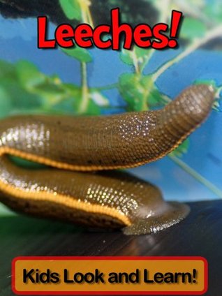 Leeches! Learn About Leeches and Enjoy Colorful Pictures - Look and Learn! (50+ Photos of Leeches) [