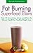 Fat Burning Superfood Elixirs