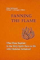 Fanning the Flame: What Does Baptism in the Holy Spirit Have to Do with Christian Initiation?