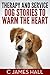 Therapy and Service Dog Stories to Warm the Heart