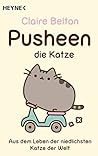Pusheen, die Katz...