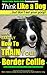 Border Collie Dog Training | Think Like a Dog, But Don’t Eat Your Poop! |: Here's EXACTLY How To Train Your Border Collie