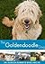 Goldendoodle: A vet's guide...