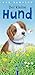 Der kleine Hund