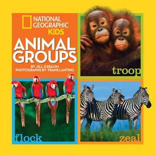 Animal Groups (Hardcover)