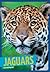 Jaguars (Wild Cats)
