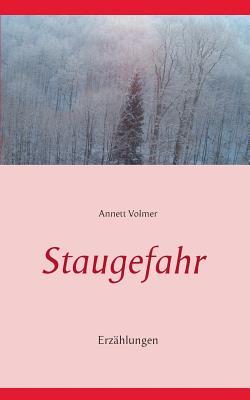 Staugefahr: Erzählungen (German Edition)