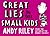 Great Lies to Tell Small Kids by Andy Riley Great Lies to Tell Small Kids by Andy Riley