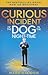 The Curious Incident of the Dog in the Night-Time