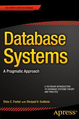 Database Systems: A Pragmatic Approach (Paperback)