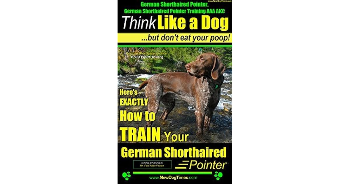 German Shorthaired Pointer, German Shorthaired Pointer Training AAA AKC