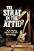 The Strat in the Attic 2: More Thrilling Stories of Guitar Archaeology